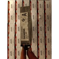 0202386485 - 5WK9002 - MS40.1 BMW MOTOR BEYNİ